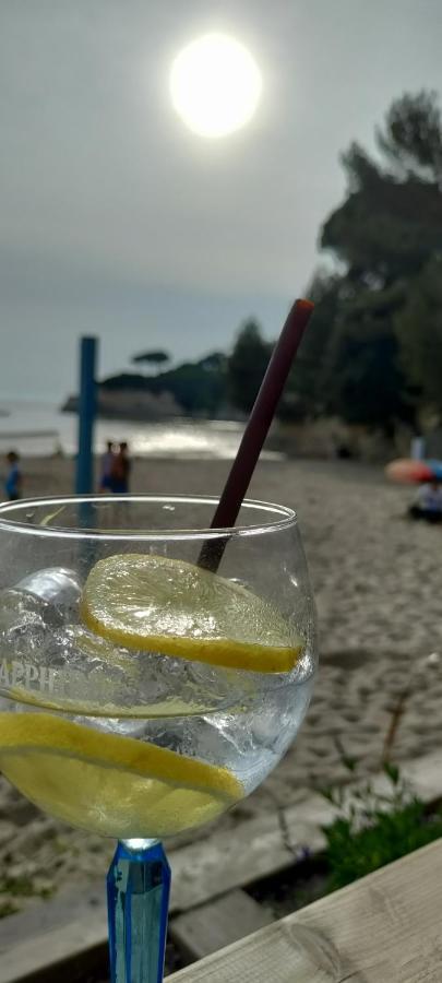 Campagne Et Mer Saint-Andre-de-Lidon Ngoại thất bức ảnh
